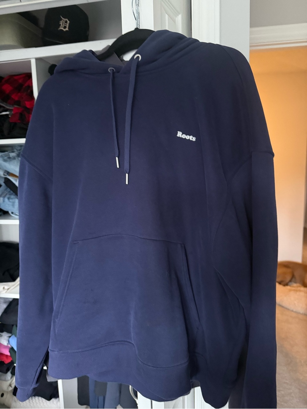 Roots Men's Cloud Hoodie